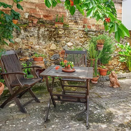 Pet Friendly In With Kitchen