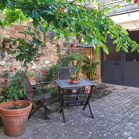 Pet Friendly In With Kitchen Apartament Rosia