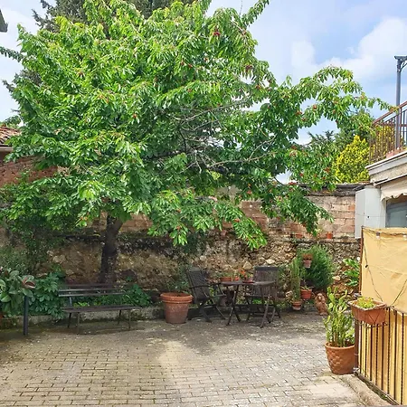 Pet Friendly In With Kitchen *