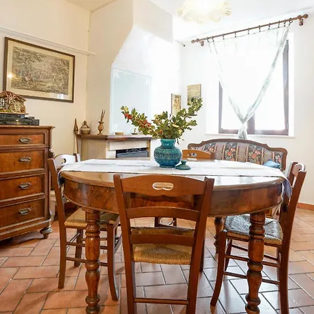 Appartement Pet Friendly In With Kitchen