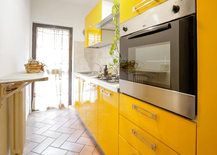 Apartament Pet Friendly In With Kitchen Rosia